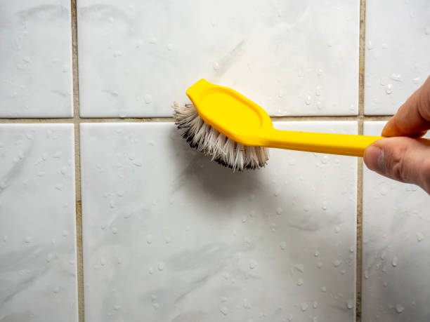 Best Mold Removal Company Near Me  in Pleasant Prairie, WI