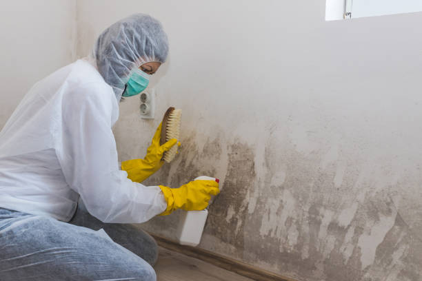 Best Professional Mold Removal  in Pleasant Prairie, WI