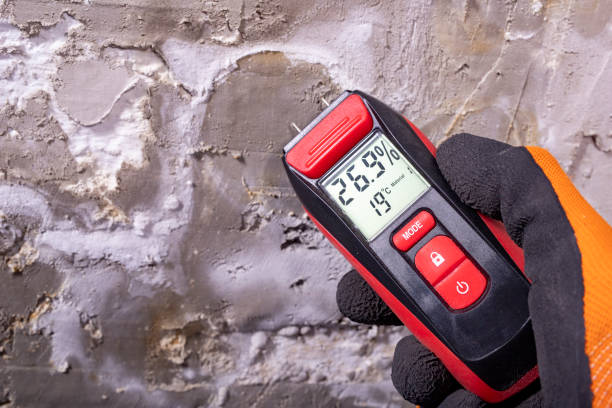 Best Professional Mold Removal  in Pleasant Prairie, WI