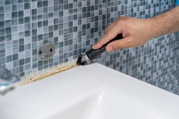 Best Mold Cleaning Services  in Pleasant Prairie, WI