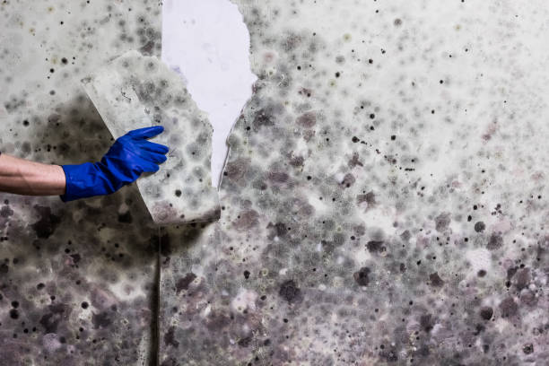 Water Damage Restoration in Pleasant Prairie, WI